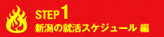 新潟の就活スケジュール編