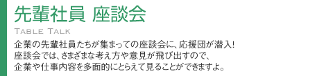 先輩社員座談会