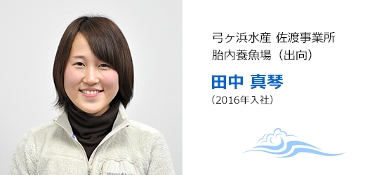 弓ヶ浜水産 佐渡事業所胎内養魚場(出向) 田中 真琴 (2016年入社)