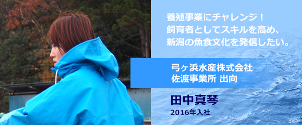 養殖事業にチャレンジ! 飼育者としてスキルを高め、新潟の魚食文化を発信したい。
弓ヶ浜水産株式会社 佐渡事業所 出向
田中真琴 2016年入社