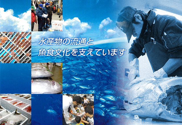 水産物の流通と魚食文化を支えています