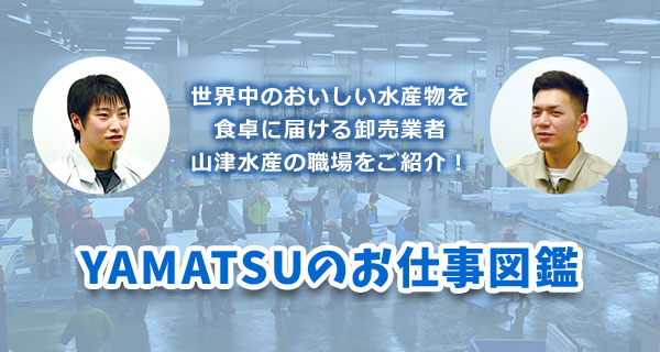 世界中のおいしい水産物を食卓に届ける卸売業者 山津水産の職場をご紹介! YAMATSUのお仕事図鑑