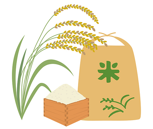 新潟産コシヒカリ